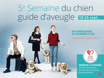 FFAC chiens guides - Cito