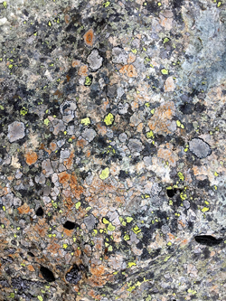 ROCHER & LICHEN